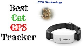 Best Cat GPS Tracker 2019 [upl. by Rima]