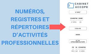 Numéros SIREN SIRET APE NIC TVA CFE Registres Répertoires  tout expliqué 2020  France [upl. by Zarla165]