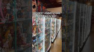 Biggest Anime Store Brooklyn animefigure animestore anime [upl. by Aisila687]