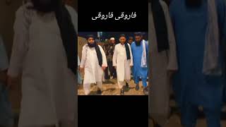 Farooqi Sahab ki Village mean [upl. by Tabib]