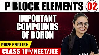 P BLOCK ELEMENTS 02  Important Compounds Of Boron  Chemistry  Pure English  Class 11thNEETJEE [upl. by Rapp]