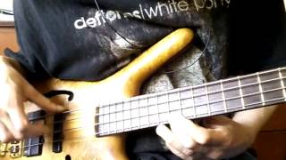 Autumn leaves  Bass solo cover with tabs [upl. by Notled170]