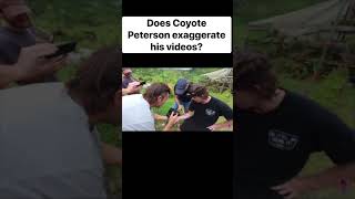 Coyote Peterson VS Danny Berk Executioner Wasp [upl. by Harhay]