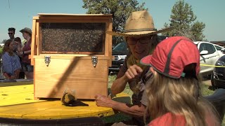 Beekeepers host a buzz of activities on World Honey Bee Day [upl. by Paolina]