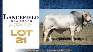 Lot 21 Lancefield S Brandon 65771 PS [upl. by Alliuqa]