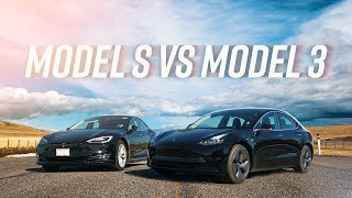 Model 3 vs Model S The Ultimate Tesla Battle [upl. by Airdnua315]