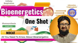 Bioenergetics  One Shot Video [upl. by Haya]