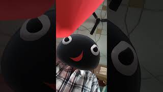 Noot Noot nootnoot meme memes lol funny shorts trending viral foryou [upl. by Naened485]