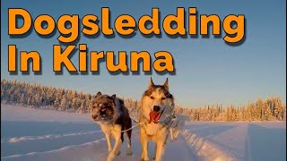 Dogsledding in Kiruna Sweden [upl. by Horan]