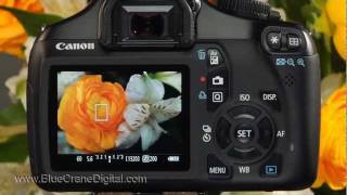 Introduction to the Canon Rebel T3  1100D Basic Controls [upl. by Ahsienyt]