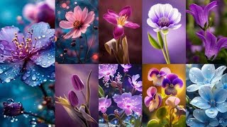 Dp Pictures For Whatsapp 🌺 Flower Wallpaper Photo 😍 Lovely Dp Pics 2024 [upl. by Kamilah513]