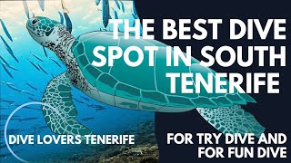 THE BEST DIVE SPOT IN TENERIFE FOR TRY DIVE AND FOR FUN DIVE [upl. by Blader]