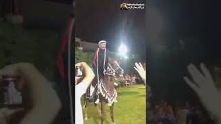 رقص الخيل عوايدنا  أبو علي الشمالي دبكةdabke shorts [upl. by Edaw]