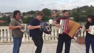 Tarantella organetto e fisarmonica  Cristian Provenzano Noelia CiccioliLuis CórdovaNiki Graziano [upl. by Gelhar]