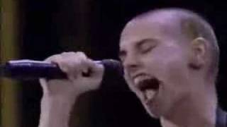 Sinead Oconnor  Mandinka LYRICS  FULL SONG [upl. by Evanthe]