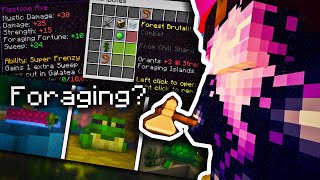 Where is the foraging update Hypixel Skyblock [upl. by Hepsiba439]