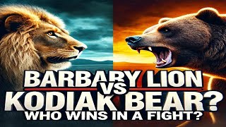 Barbary Lion vs Kodiak Bear Who Wins in a Fight [upl. by Enenej]