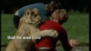 Christian the Lion Dead 19842009 [upl. by Assirim]