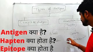 Antigen एंटीजन  Types of Antigen  Hapten  Epitope  Hindi [upl. by Iniffit]