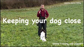 Teaching your dog to hunt close quotGundog basics seriesquot [upl. by Airetnuhs]