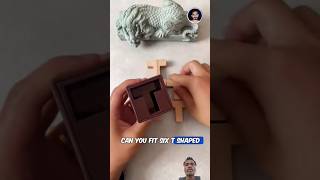 Six T Puzzle Solved 😱🤯 woodworking shorts viral trending puzzle fonytv19 MrBeast [upl. by Malachi]