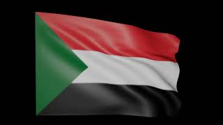 Sudan Flag  Sudan Arab Country Flag sudan [upl. by Htebazileyram]