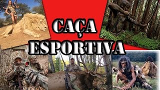 Minha Opinião sobre a Caça Esportiva [upl. by Astrix577]