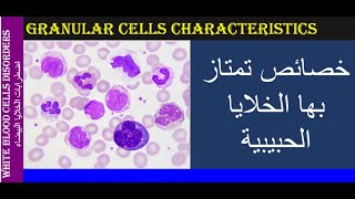 Lecture 3 2 Granular Cells Characteristics [upl. by Sacksen]