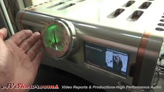 Dan DAgostino Master Audio Systems MLife integrated CES 2015 [upl. by Azeria]