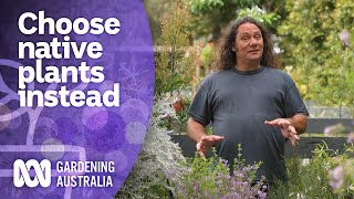 Try planting these native plants instead of weeds  Australian native plants  Gardening Australia [upl. by Ackerley]