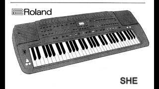 Roland E66 demo tone amp style – 14 short songs [upl. by Kcirdlek]