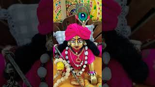 Gulabi sardi aur velet dress Radhe Radhe sorts krishna laddugopal [upl. by Merrile252]