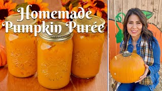 HOW TO MAKE HOMEMADE PUMPKIN PUREE Easy Pumpkin Purée from ScratchSugar Pie amp Carving Variety [upl. by Riccardo]