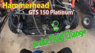 Hammerhead GTS 150 Platinum  Brake Fluid Change [upl. by Anirret]