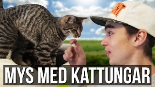 Vi besöker ett katthem Vlog 44 [upl. by Rai]