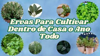 Ervas Para Cultivar Dentro de Casa o Ano Todo [upl. by Ahsirtap511]