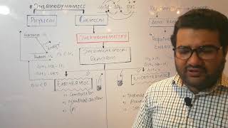 Exothermic and Endothermic reaction  exothermic and endothermic reaction class11  Thermochemistry [upl. by Artemed]