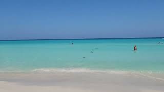 Melia Internacional The most beautiful beach in the world  is in Varadero 🇨🇺 [upl. by Neerod]