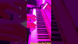 Wonderful World Brahms Lullaby and Ode to Joy on Piano 1 [upl. by Rolyt469]