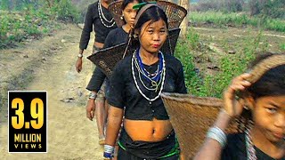 বান্দরবানের আকর্ষণীয় পাহাড়ি জীবন  LIFESTYLE OF HILLY BANDARBAN IN BANGLADESH [upl. by Hanser]