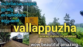 kyd bro vlogs  vallappuzha  railway  station  palakkad [upl. by Ardnwahs]