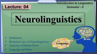 Neurolinguistics  Lecture 04  LinguisticsII [upl. by Ariday]