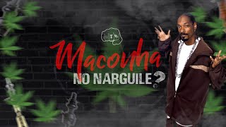 Maconha no narguile 18 [upl. by Urbannai37]