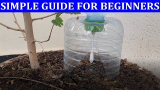 DIY Drip Irrigation Transforming a Water Bottle and Qtip into a Smart Watering System for Plants [upl. by Emirej]