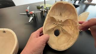 Skull Sphenoid and Ethmoid Bone and their bone markings [upl. by Eednas]