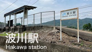 波川駅 Hakawa station ＜土讃線＞ [upl. by Lladnik]