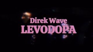 Levodopa  Direk Wave Official Music Video [upl. by Nwadrebma]