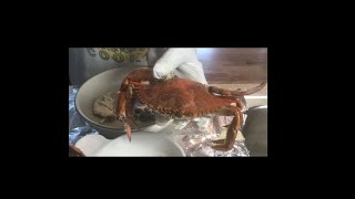 How to pick the crab meat from SC Blue Crab after cooking [upl. by Akiner]