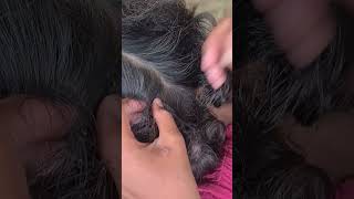 lice no more satisfying headlice hair [upl. by Nari]