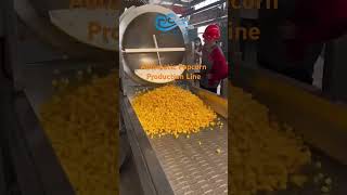 Automatic Popcorn Production Linepopcornpopcornmachineproductionline [upl. by Inaboy]